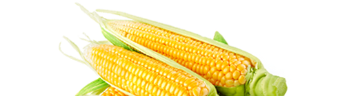 Western Precooling FAQ